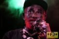 Lee Scratch Perry (Jam) 19. Reggae Jam Festival - Bersenbrueck 03. August 2013 (4).JPG